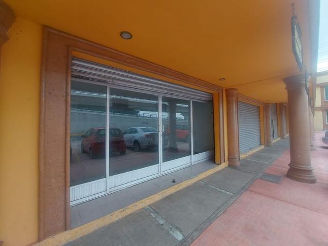 Foto de la galeria de imagenes