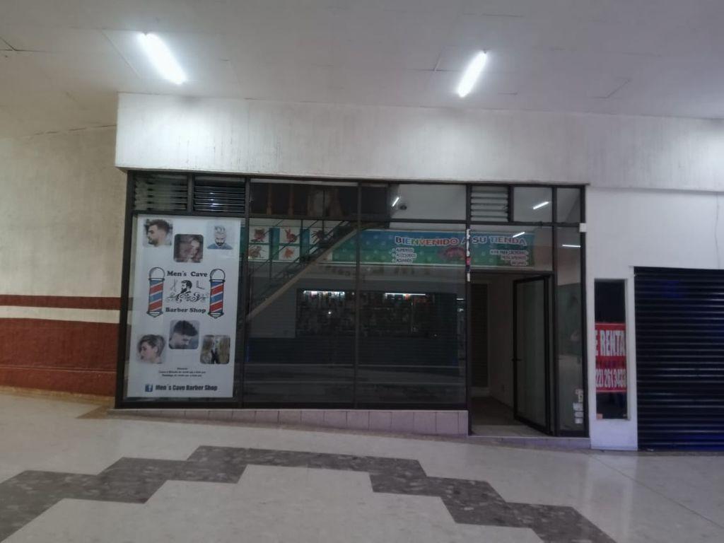 Foto de la galeria de imagenes