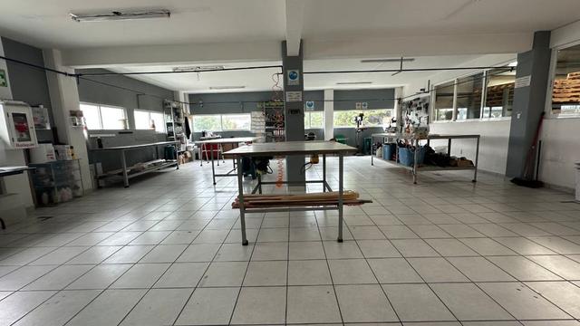 Foto de la galeria de imagenes