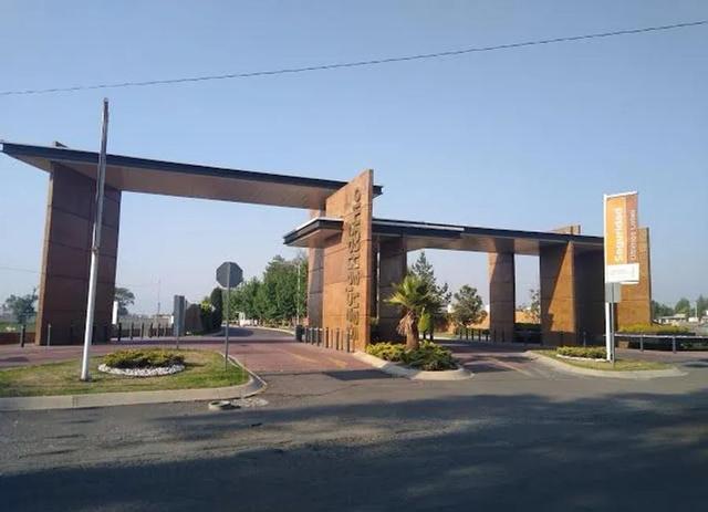 Foto de la galeria de imagenes