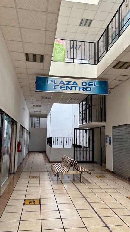 Foto de la galeria de imagenes