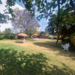 TERRENO IDEAL PARA NEGOCIO O FRANQUICIA